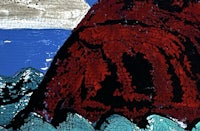 a painting of a red rock in the ocean